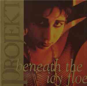 Various - Beneath The Icy Floe - Projekt Record's Sampler