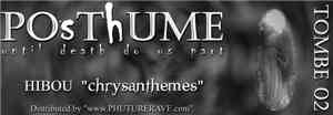 Hibou - Chrysanthemes