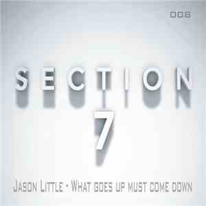 Jason Little - What Goes Up Must Come Down