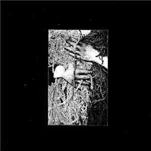 Paranormal Bouquet, Dao De Noize - SPLIT [EP]