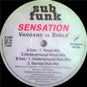 Vangard Vs Shelé - Sensation