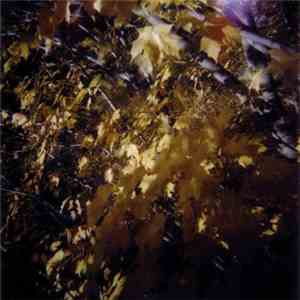 Hedia - Apnoea