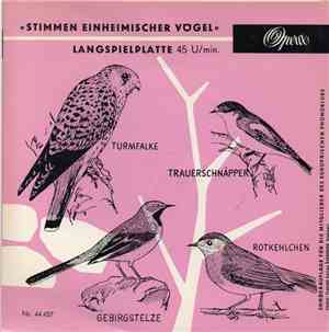 C. Fentzloff, Dr. G. Thielcke - Stimmen Einheimischer Vögel