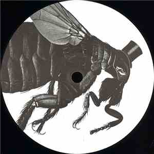 Pazuzu , Murmuur  - Beezledubs