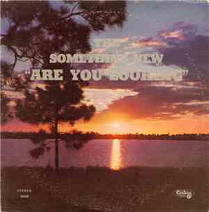 The Something New - Are You Looking