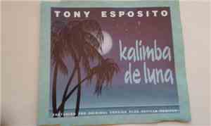 Tony Esposito - Kalimba De Luna