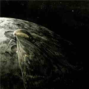 Augrimmer - Moth And The Moon