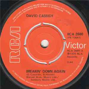 David Cassidy - Breakin' Down Again