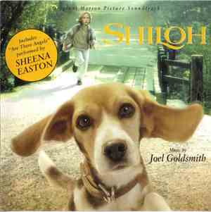 Joel Goldsmith - Shiloh