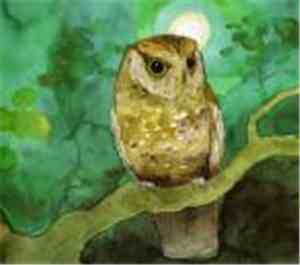 Sleeping At Last - Storyboards