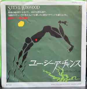 Steve Winwood - While You See A Chance