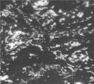 Grouper - A|A