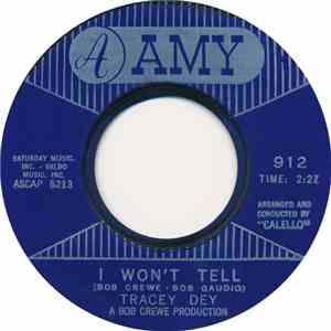 Tracey Dey - I Won't Tell