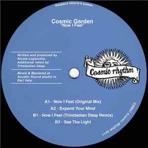 Cosmic Garden - Now I Feel