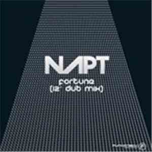 NAPT - Fortune (12