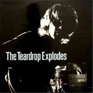 The Teardrop Explodes - You Disappear From View