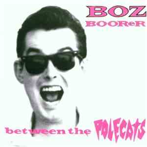 Boz Boorer - Between The Polecats