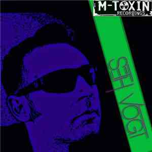 Seth Vogt - Hold Me Down