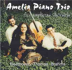 Amelia Piano Trio - Amelia Piano Trio