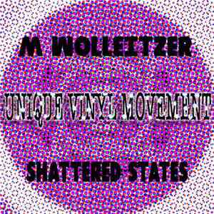 M Wolleitzer - Shattered States