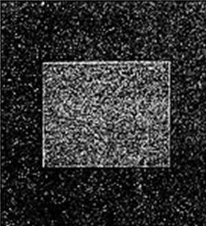 v. - l.a.55