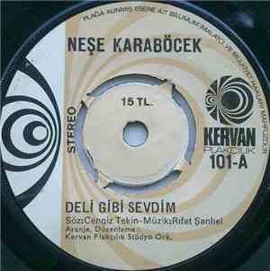 Neşe Karaböcek - Deli Gibi Sevdim