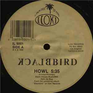 Blackbird - Howl