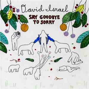 David Israel - Say Goodbye To Sorry