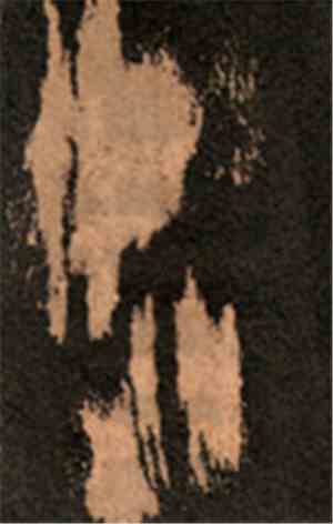 Il Rovescio Del Giardino - Extracts From Dying Circumstance