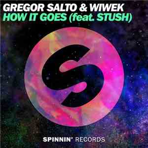 Gregor Salto & Wiwek Feat. Stush - How It Goes