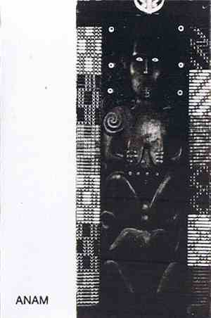 Zircon And The Burning Brains - Anam