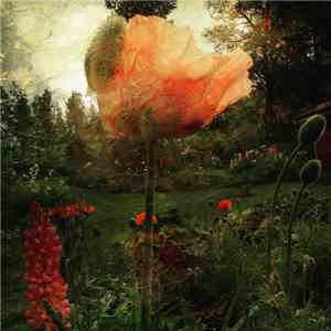 Dan Söderqvist - Dark Flowers Awake