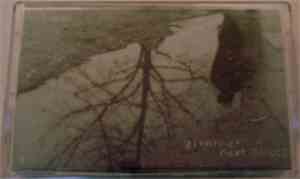 Zimmer  - Next Places