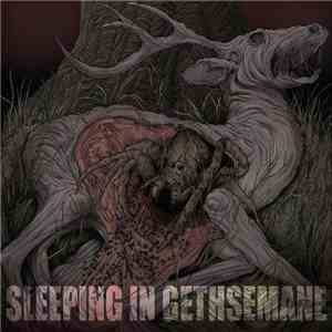 Sleeping In Gethsemane - Burrows