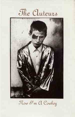 The Auteurs - Now I'm A Cowboy