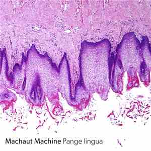 Machaut Machine - Pange Lingua EP