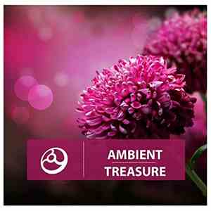 Various - Ambient Treasure