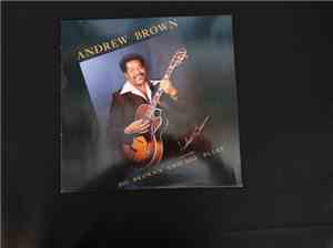 Andrew Brown - Big Brown's Chicago Blues