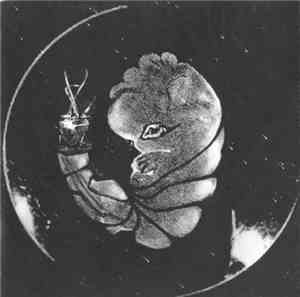 Baal - Species 23