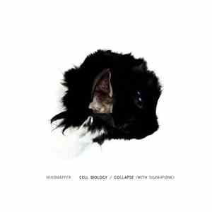Mindmapper / Mindmapper & Silvahfonk - Cell Biology / Collapse