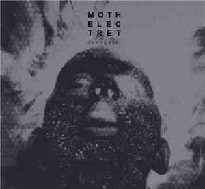 Moth Electret - Dawngazer