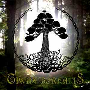 Tiwaz Borealis - Demo 2015