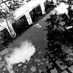 Chlorine Gargle - Towards Withering Patience