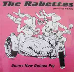 The Rabettes Featuring Ice Bun - Bunny New Guinea Pig
