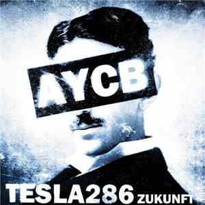 Tesla286 - Zukunft
