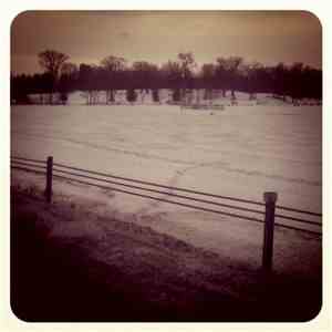The Declining Winter - The Year Of Forty