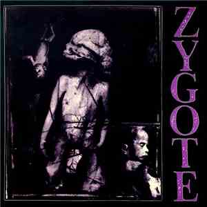 Zygote  - 89-91