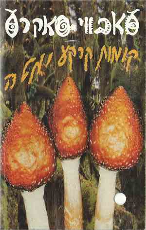 סאבווי סאקרס - קומות קרקע ומטה