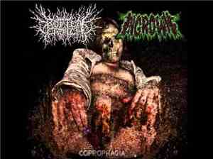 Rotten Crotch, Ingrown - Coprophagia