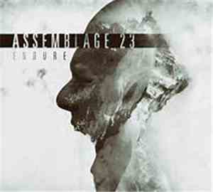 Assemblage 23 - Endure